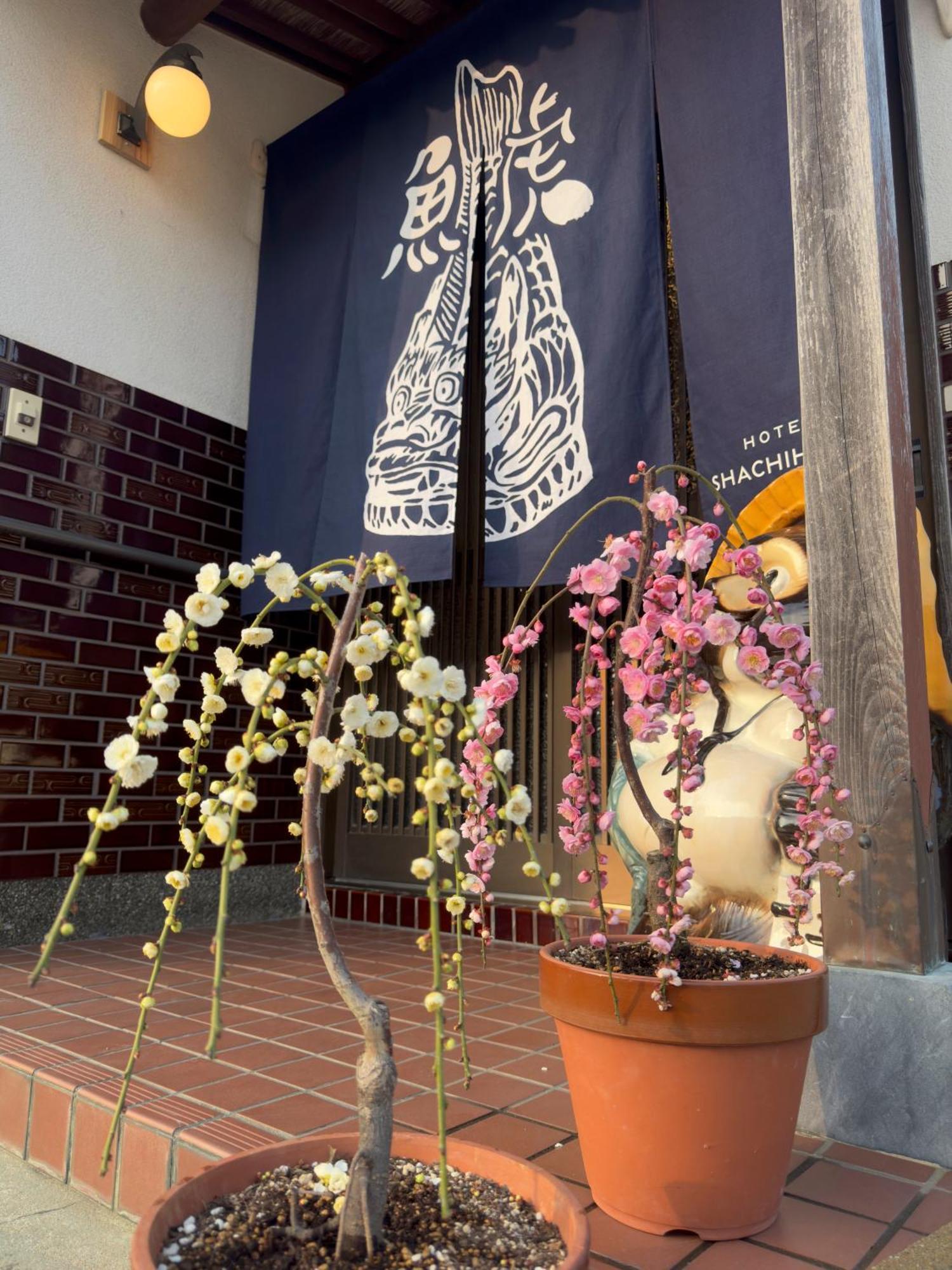 Shachihoko 海辺の一棟貸切ヴィラ しゃちほこ Imari Exterior foto